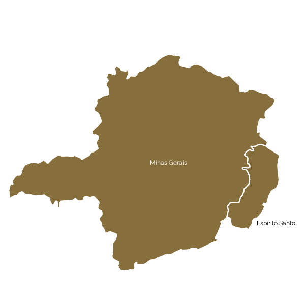 Mapa na cor marrom: Minas Gerais.